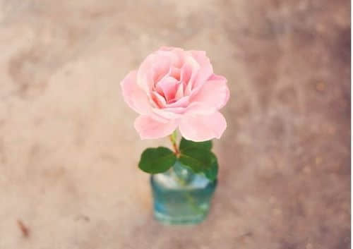 2015ͼƬ˵˵3