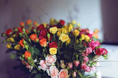 2015ͼƬ˵˵4