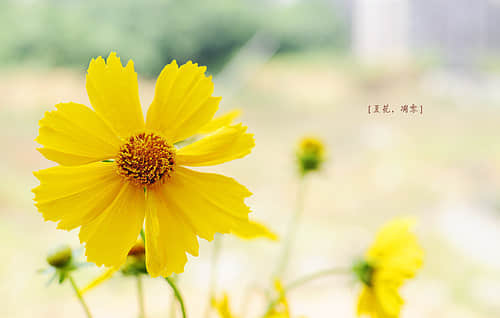 ΨͼƬ˵˵