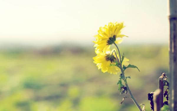 Ů˸е˵˵