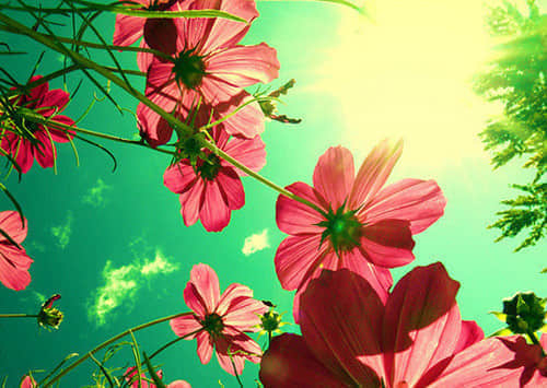 һ˸еĸǩ