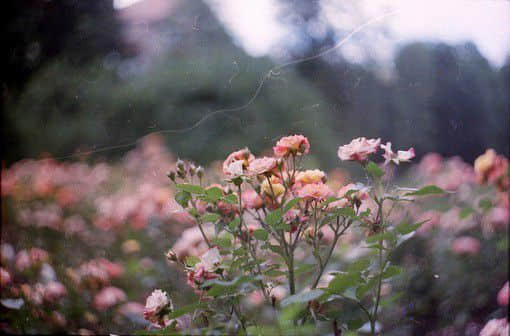 Ҹܰ˵˵