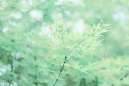 ¶˸е˵˵ͼƬ6