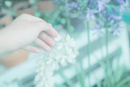 ¶˸е˵˵ͼƬ7