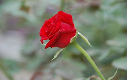 ¶˸е˵˵ͼƬ9