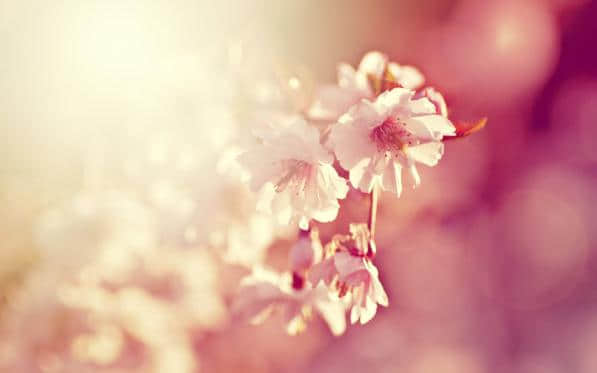¶˸е˵˵ͼƬ15