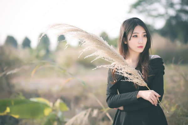 ֺ븴ϵ˵˵ͼƬ