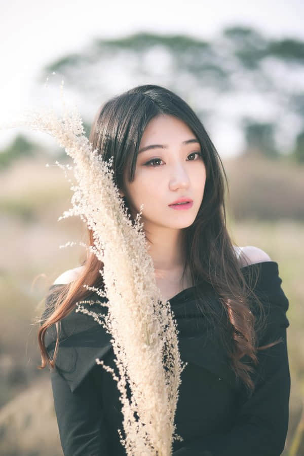 ֺ븴ϵ˵˵ͼƬ7