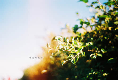 ҵΨ˸ͼƬ˵˵4