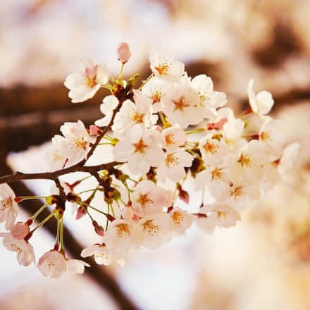 ˸еľ˵˵ͼƬ4