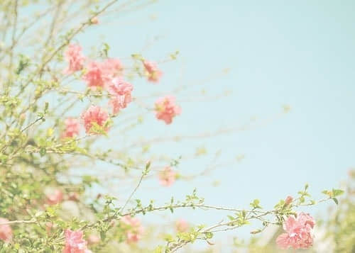 ˸еľ 