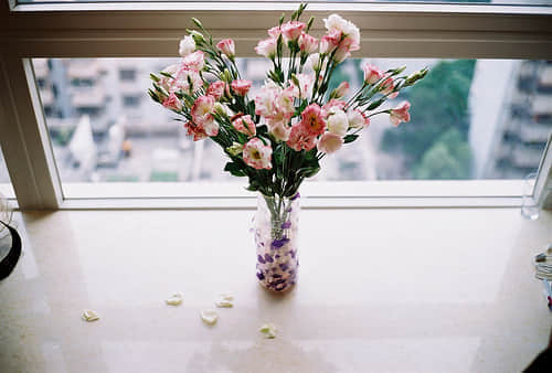 鲻õ˵˵ȫ
