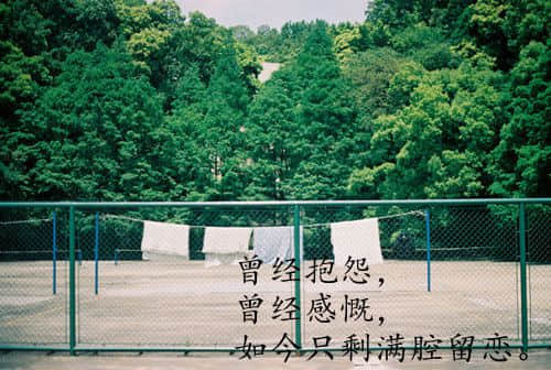 ҵ˵˵ͼƬ4