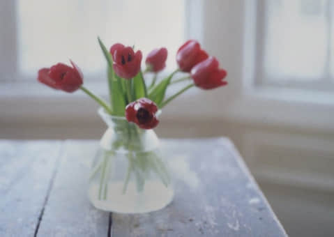 ˵˵ϵ