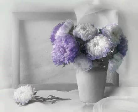 Ů˸¼ ʹһƼ