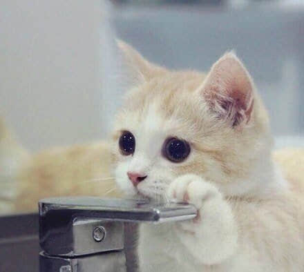 Ȥ˵˵ͼ5