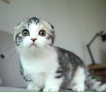 Ȥ˵˵ͼ6
