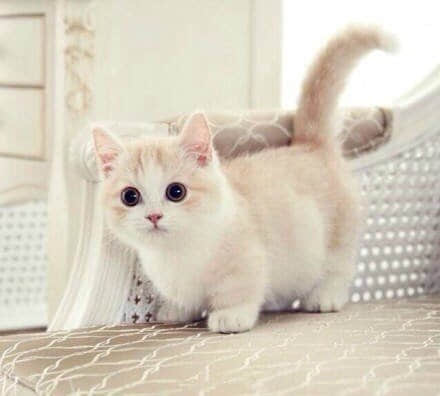 Ȥ˵˵ͼ7
