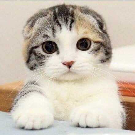 ɰ˵˵ͼƬ
