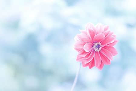 qq˵˵˸дͼƬ ͼƬ˸˵˵2