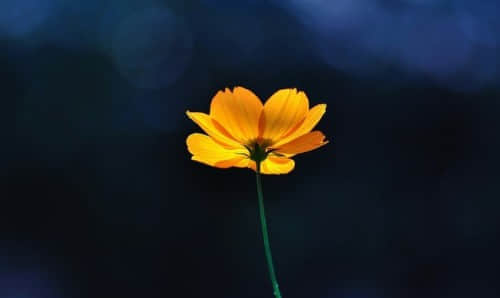 ˵˵ ԲҲǹ㰵ҵ