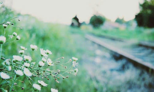 ԣȻǵ