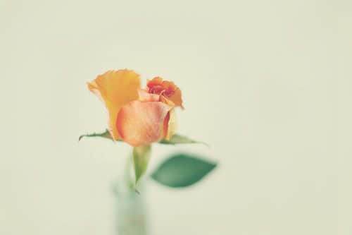 ۵˵˵ռ