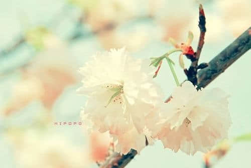 飬һ㲻ĺͿ