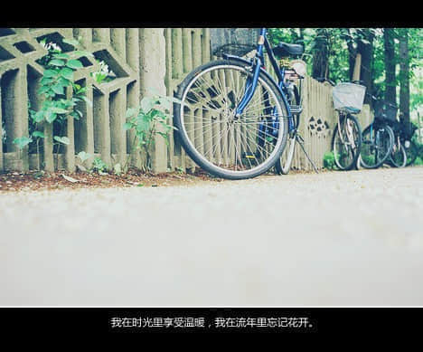 鲻õӢĸǩ