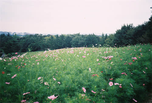ʼʢģ