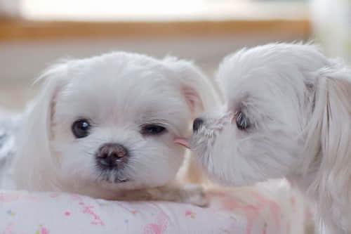 QQ˵˵ ̵ķĪڣ㵭ˣȴ