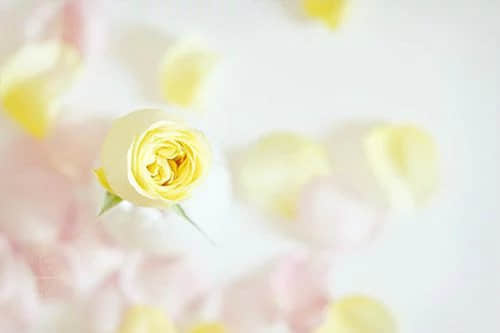 ˵˵ ˵Ҹǿ