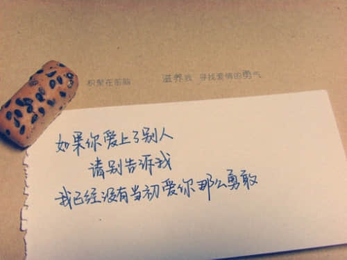ʧ˸ǩȫ2015°