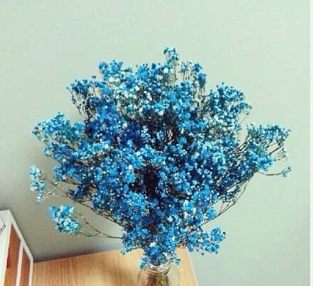 ˵˵˵ͼƬ12
