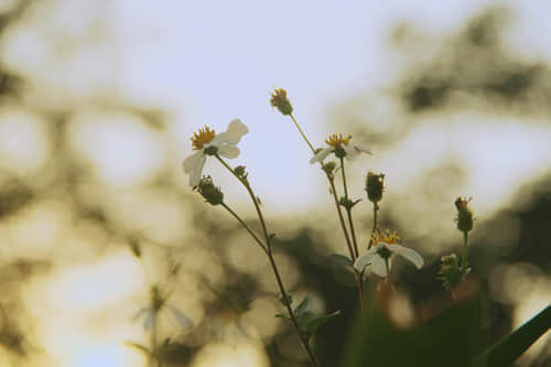 ȵһһ