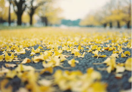 ﲻܵΨ˵˵
