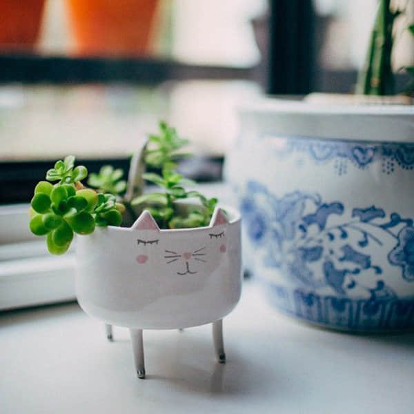 QQռĸ˵˵