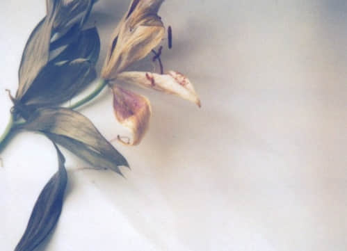 ε˵˵