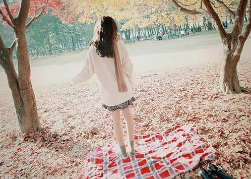 qqռ˸о