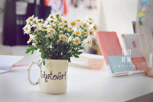 ڸ˵˵˵