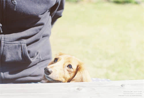 qq˵˵