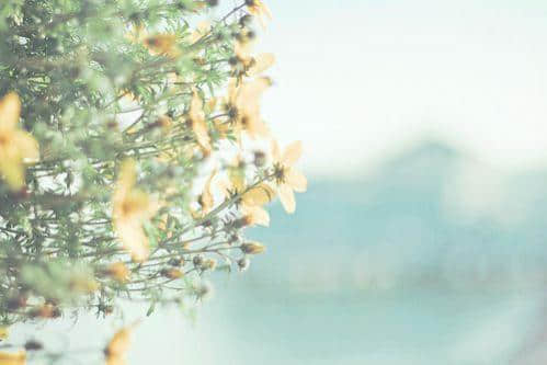 ķС