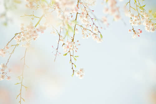 氮˼ ѷ