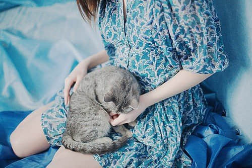 qqӢ˵˵ȫ