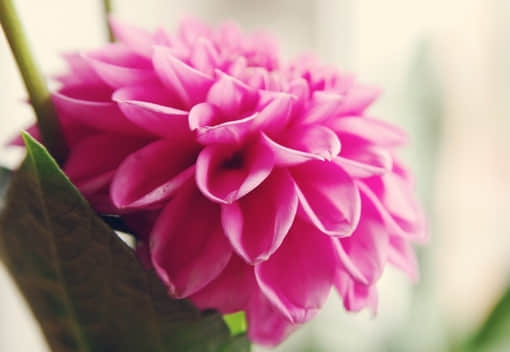 ִŵ˵˵