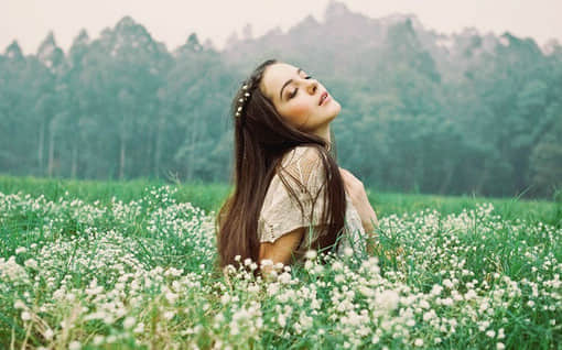۵һ仰