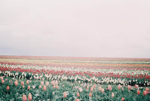 ־Ļ