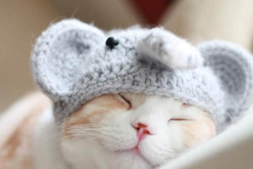 Ȥ˵˵ͼƬ ȤͼƬ˵˵2