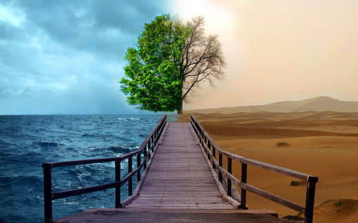 ľ ˭ļįһѣ˭ĻѸҼ