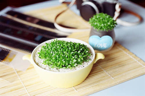 qq˸е˵˵ռͼƬ5